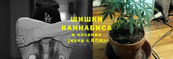 мескалин Арсеньев