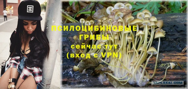 молекула духа Армянск